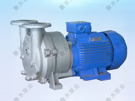 2BV水環式真空泵(beng)